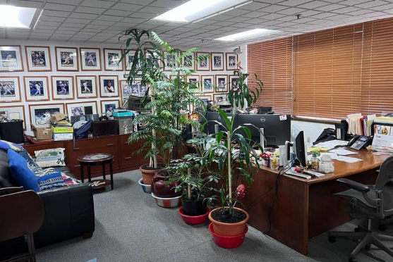 Certified Public Accountant Office